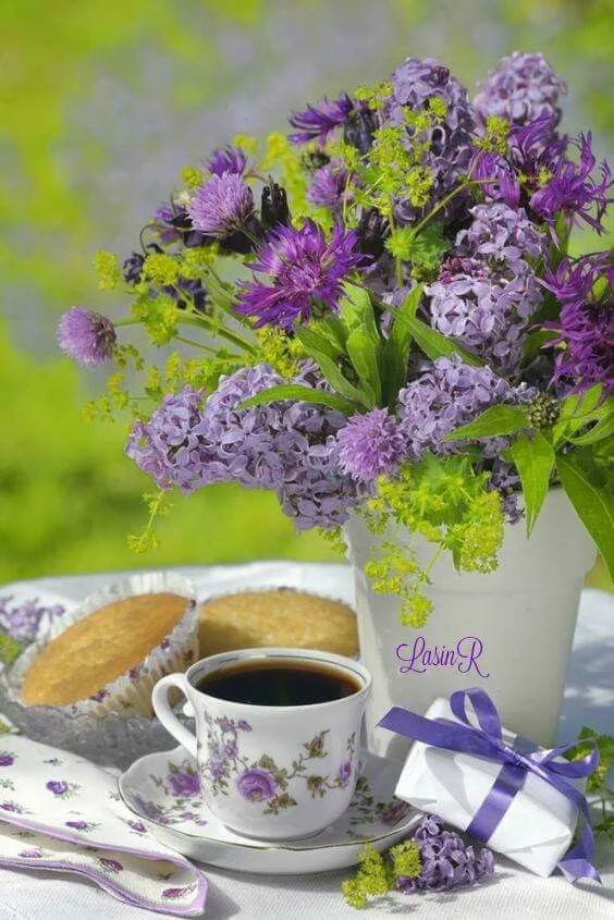 bca5ga.webp