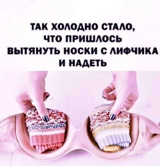 bcbbd7ff5659e2044cb3.webp