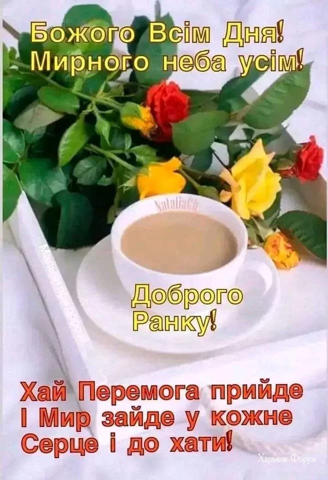 bcbd6822aac6cf3077b69dd.webp