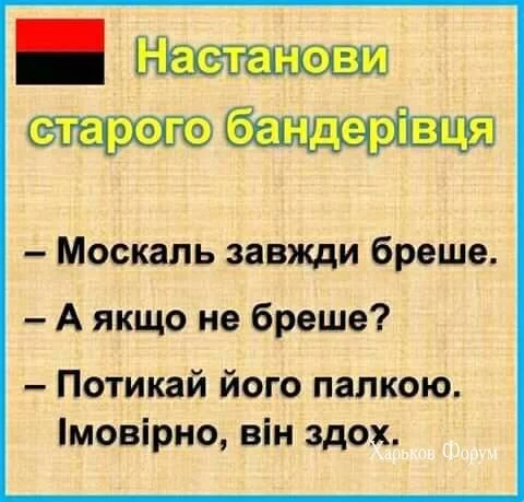 bcc1a578a781f883.webp