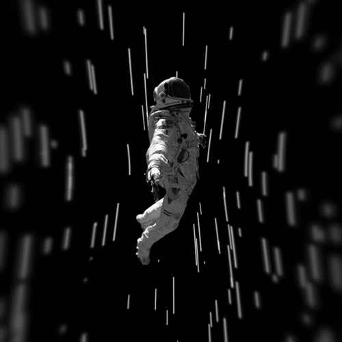 bcd1f614dd91ea3d9.gif