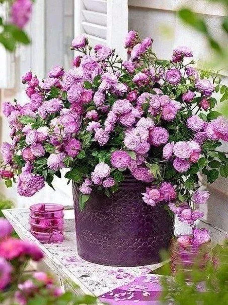 bcdc5d.webp
