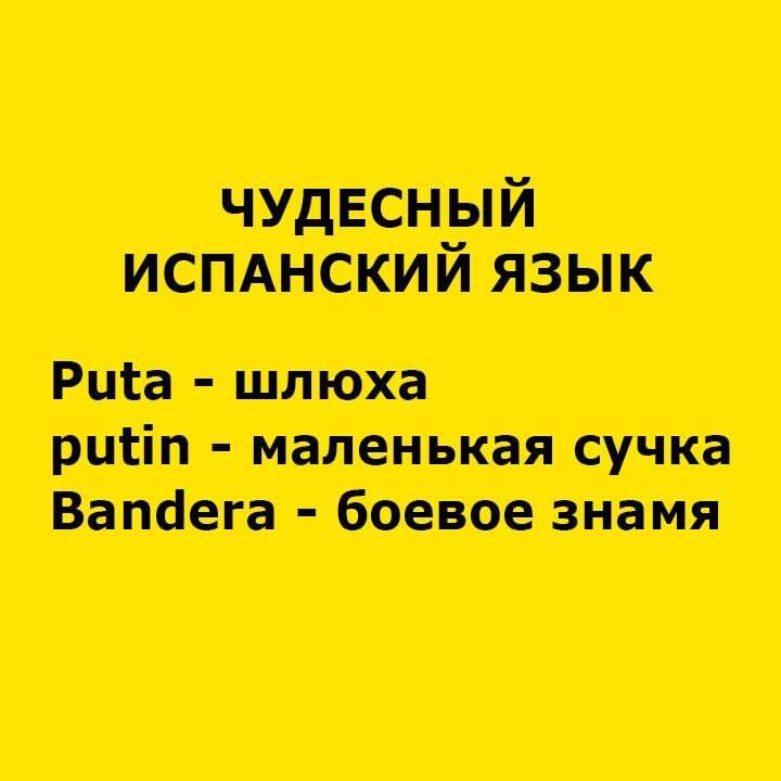 bcdcg0.jpg