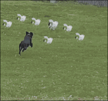 bce0df.gif