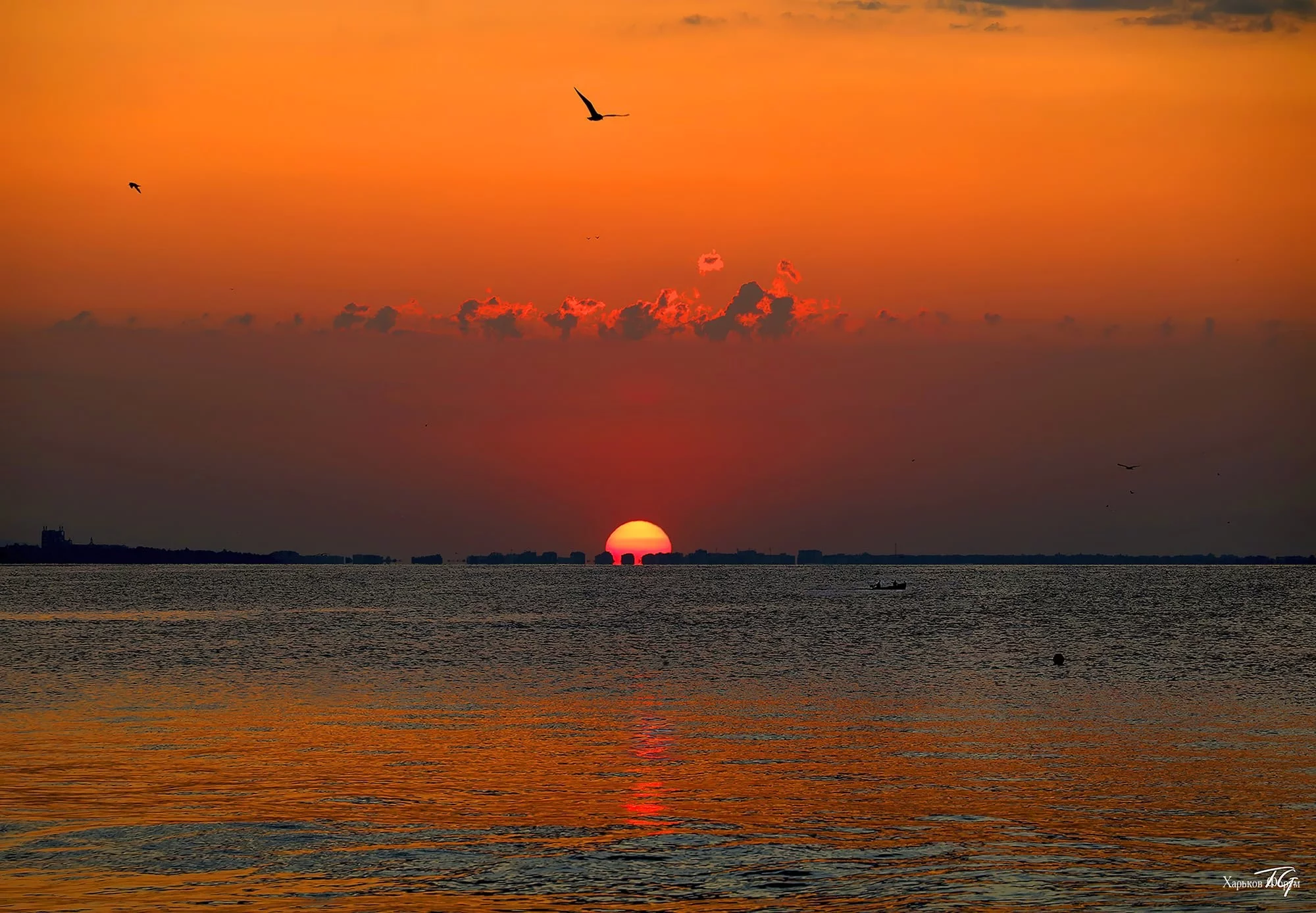 bce65b911dc517536.webp