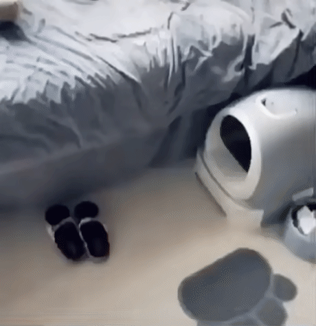 bce6727a698b64e9369e6.gif
