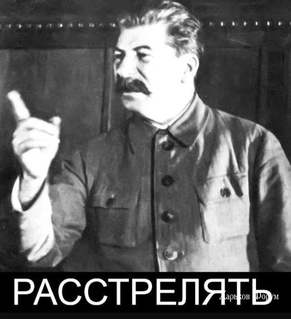 bcec13c28dda5f6f9d.webp