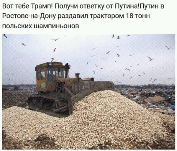 bcefg2.jpg