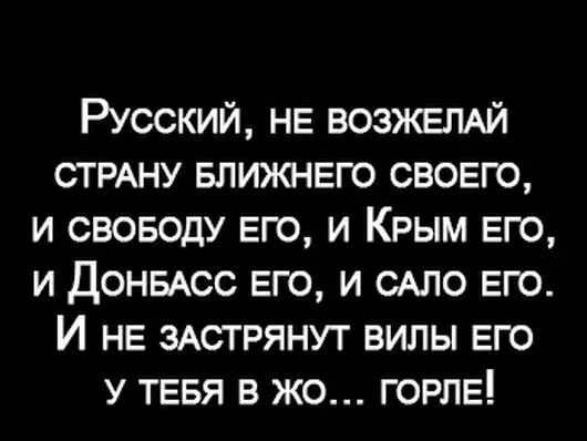 bcf6jd.webp