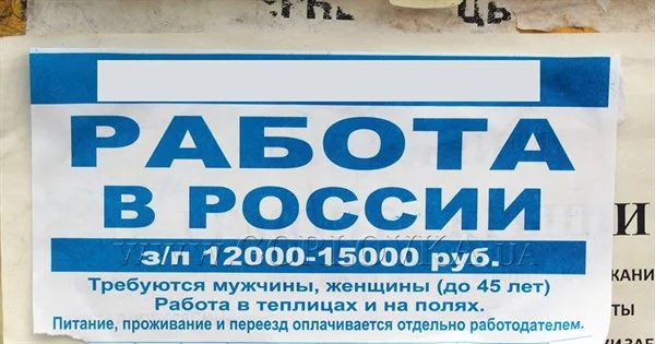 bcf7hh.webp