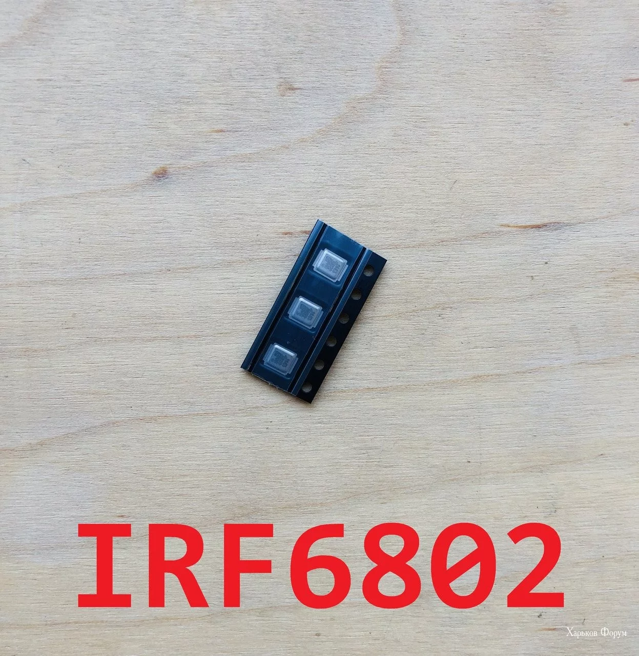 bcf93d8fb54385c6b1.webp
