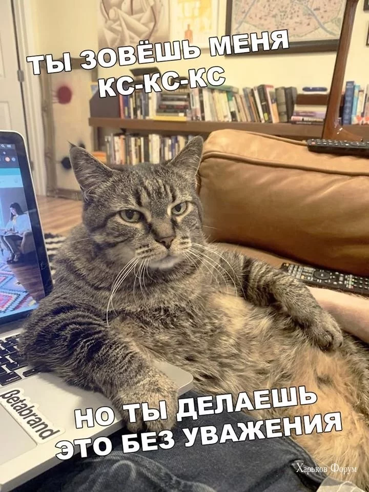 bcffdb15fd65eaf3078e5840.webp