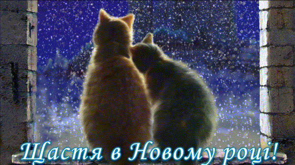 bcgef8.gif
