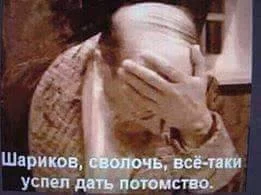 bcghg5.webp