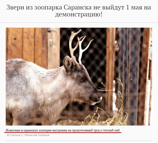 bcjb8j.webp