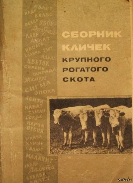 bcjh2h.webp