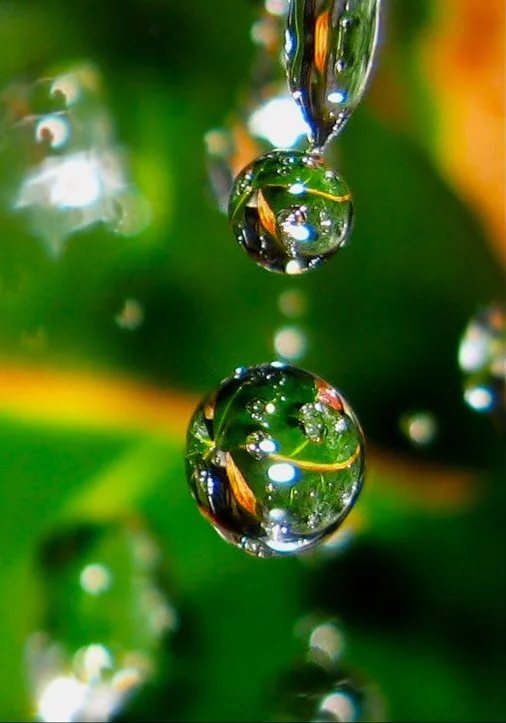 bcjjf9.webp