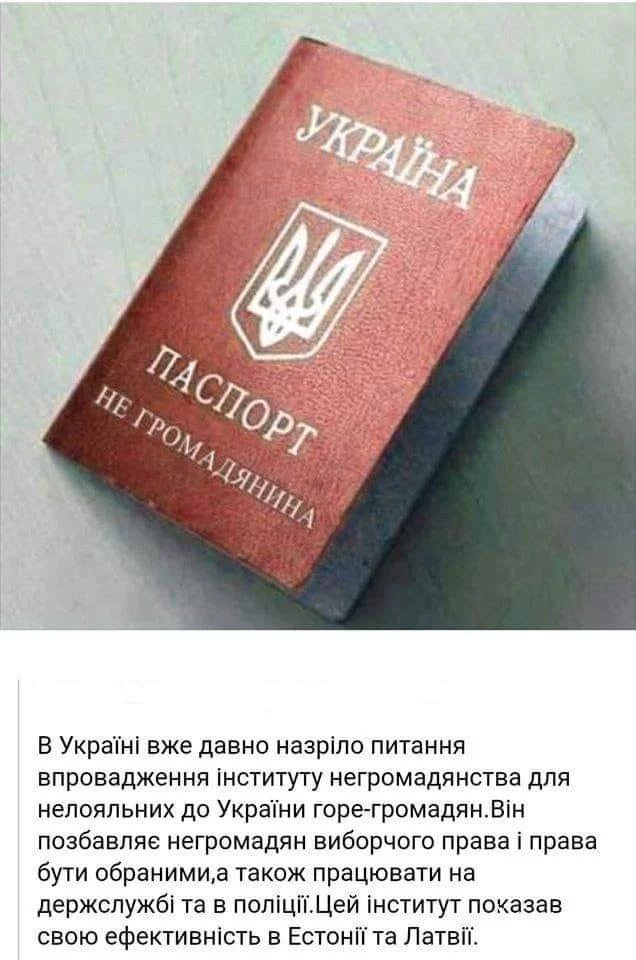 bd16dde8419aff23643b.webp