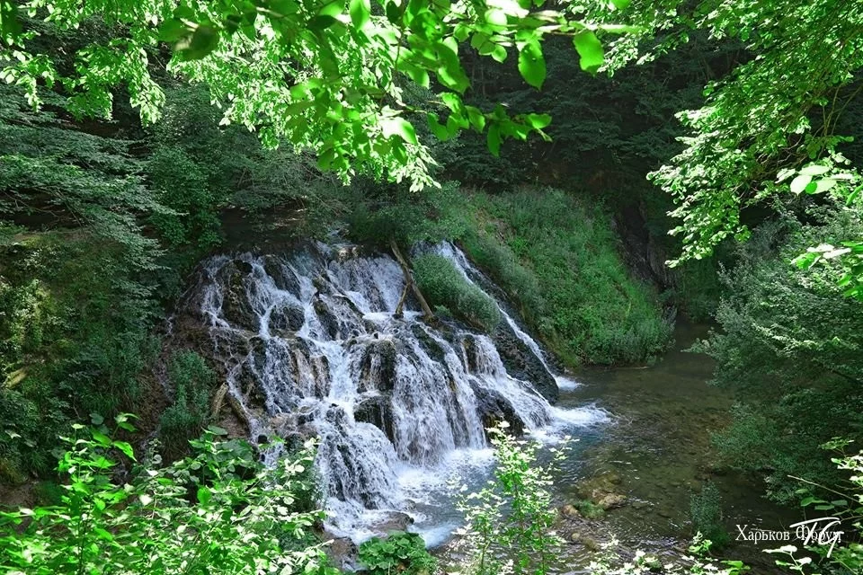 bd29b30f3ad11f1448ae39.webp