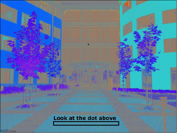 bd2aa15dd431a813fd17bed0e63f3ec5.gif