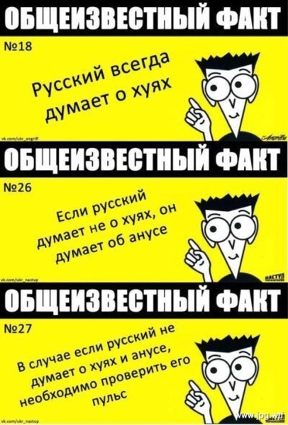 bd3ccc.jpg
