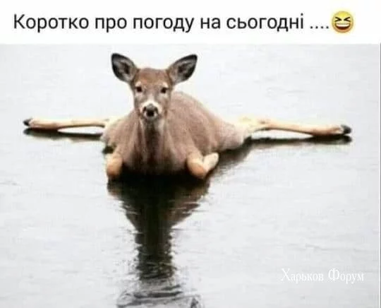 bd607522bea92956e88e0c94.webp