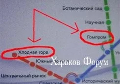 bd7a3fb4844b91e5ded3.webp