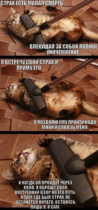 bd7fae.webp