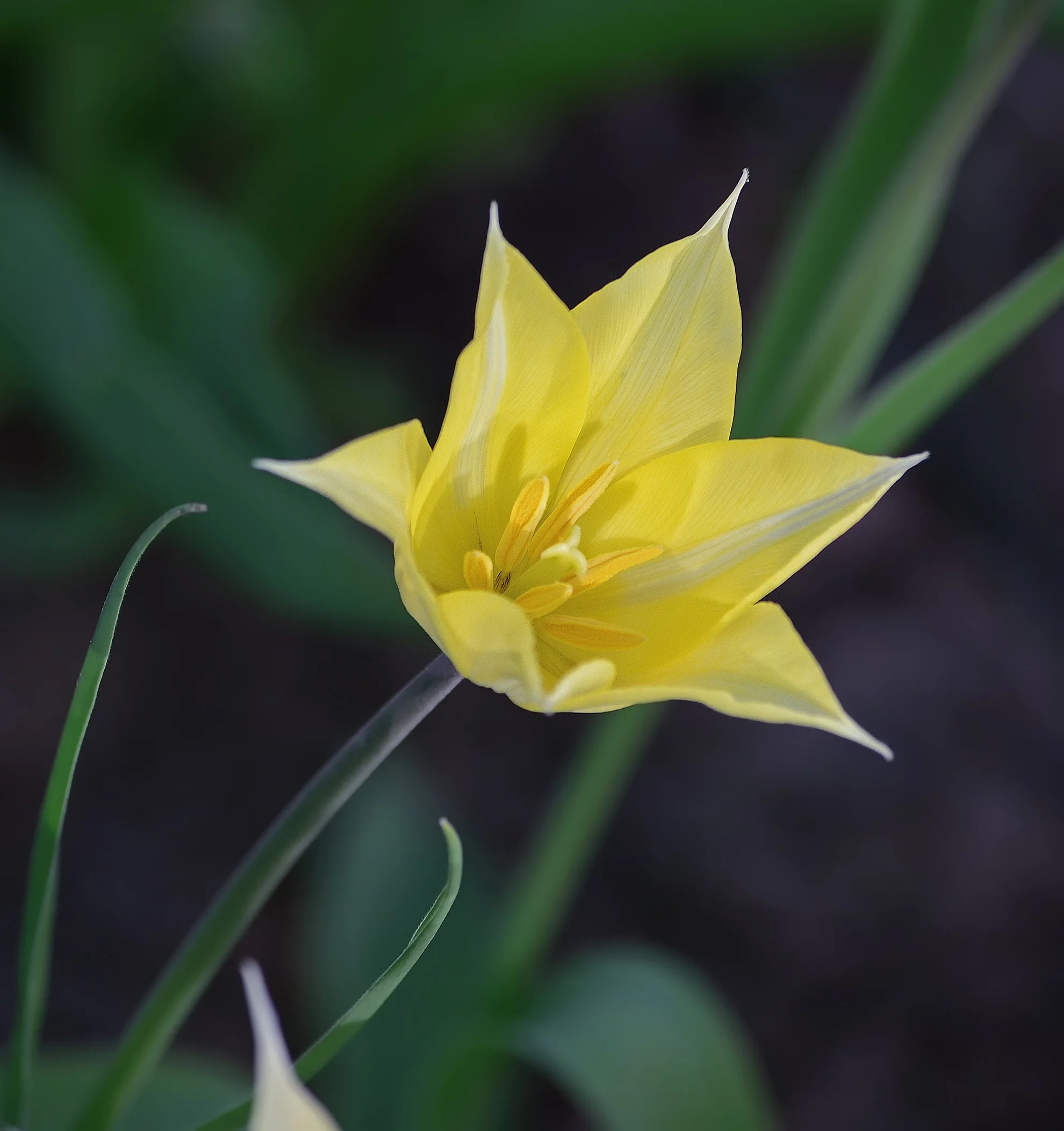 bd8ejj.webp