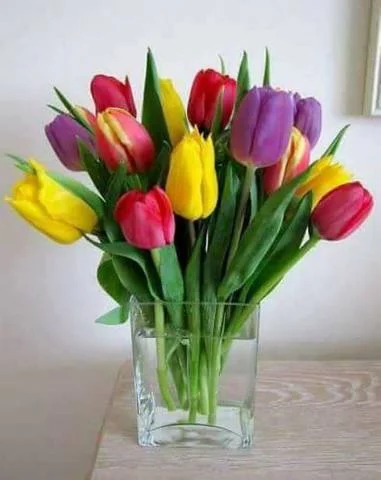 bd8fdc.webp