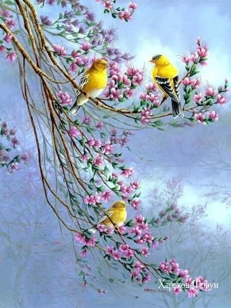 bda2e9a8407550d1440f6.webp