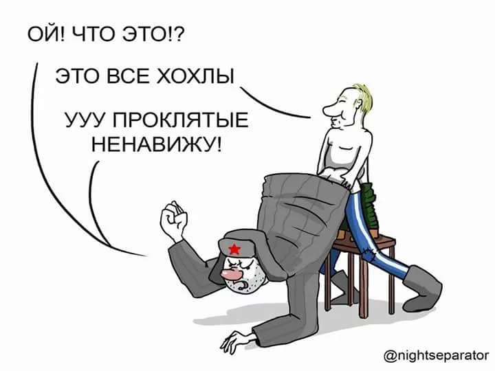 bda4gf.webp