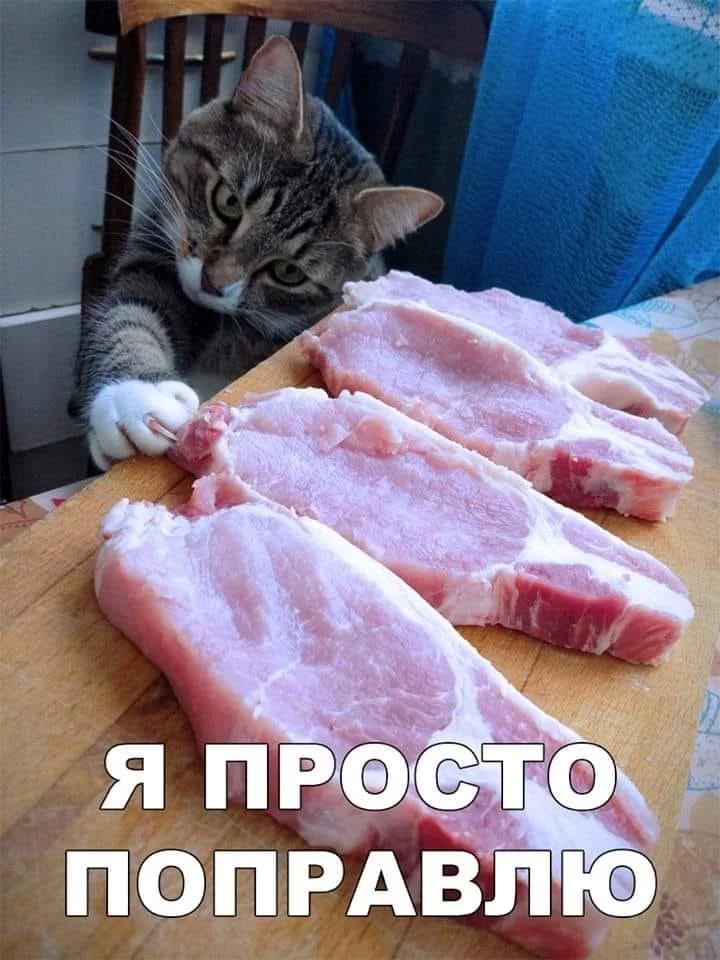 bdade1.webp