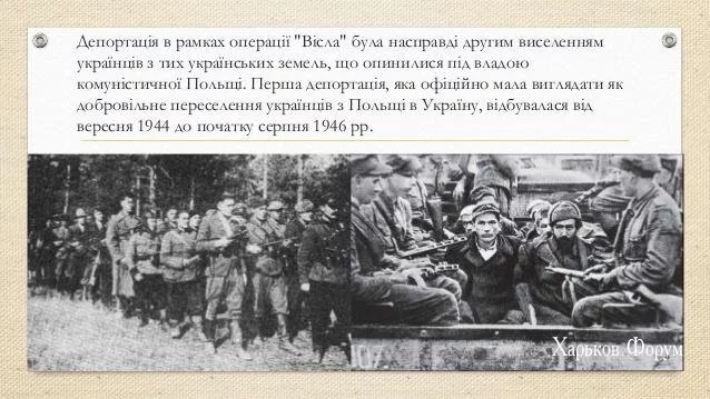 bdb49787228601668ad7cf.webp