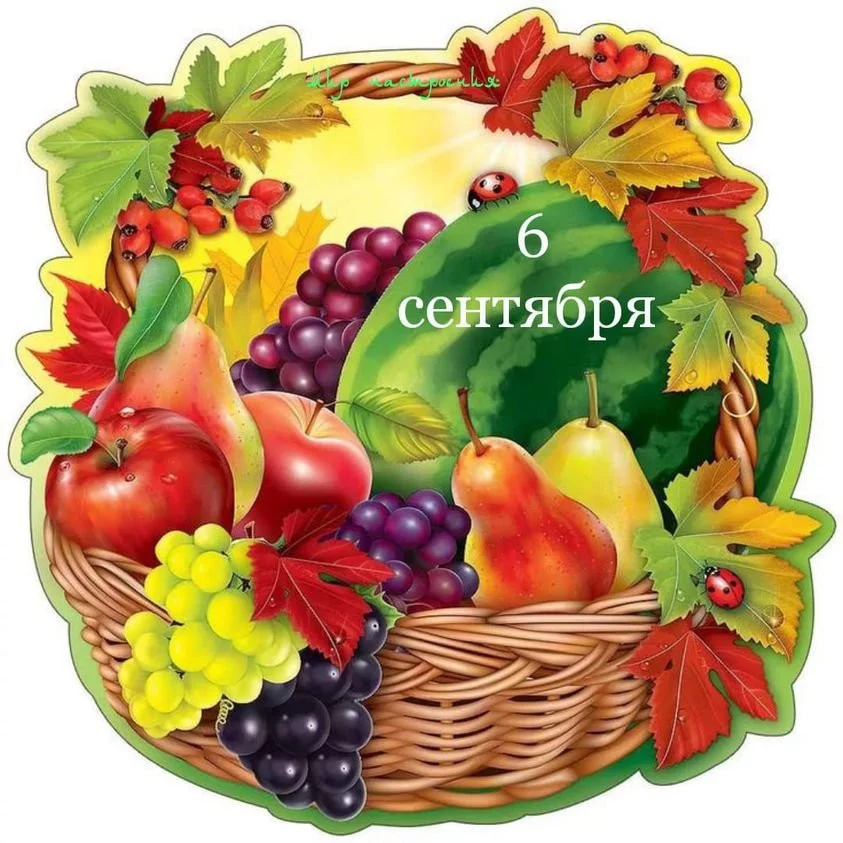 bdbc54ef73d4c7b82ba81.webp