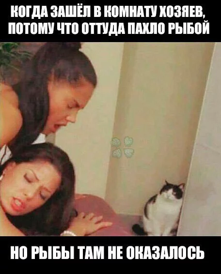 bdbeg3.webp