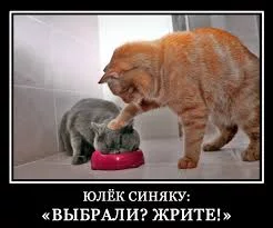 bdbhe8.webp