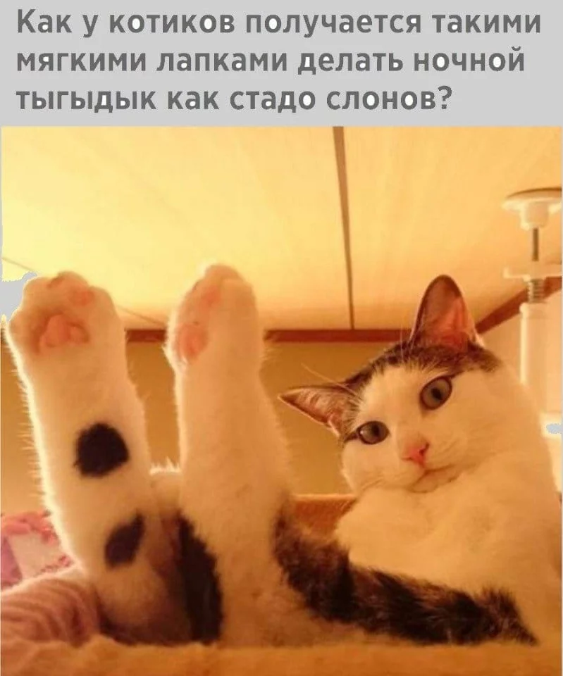 bdbjg6.webp