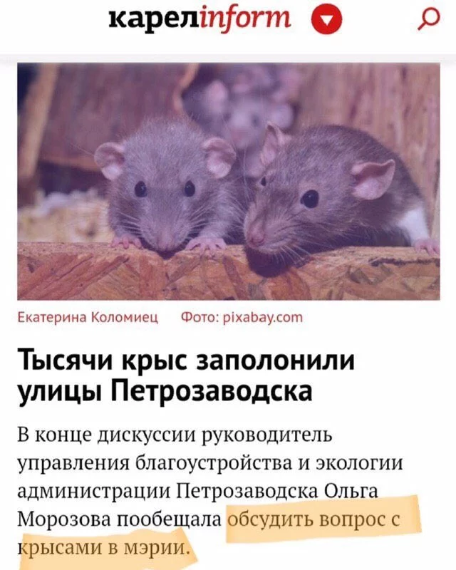 bdc3je.webp