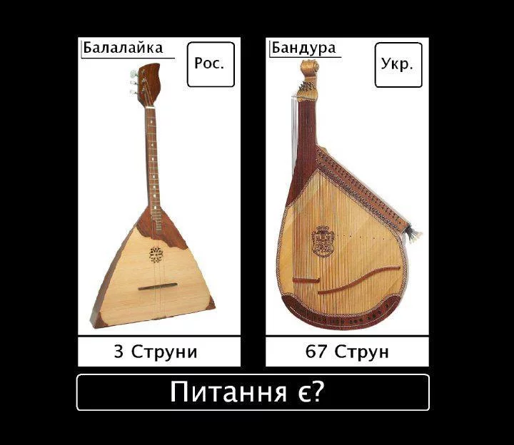 bdcch5.jpg