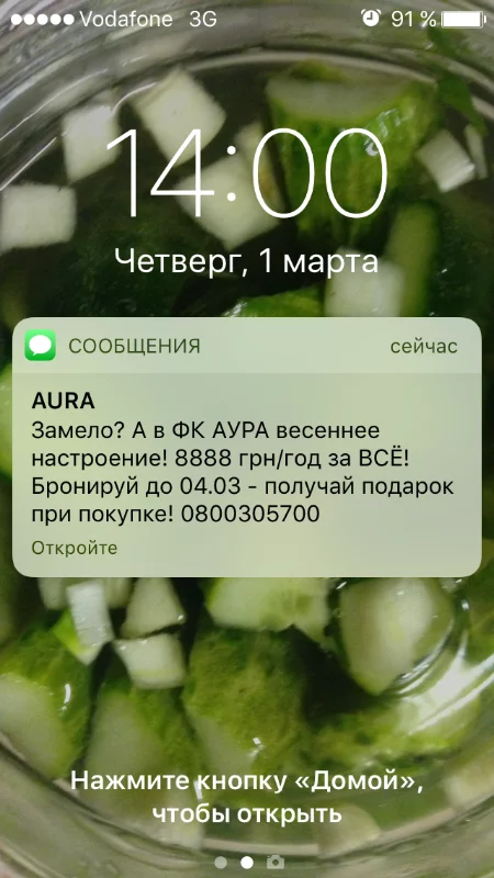 bdda5c.webp