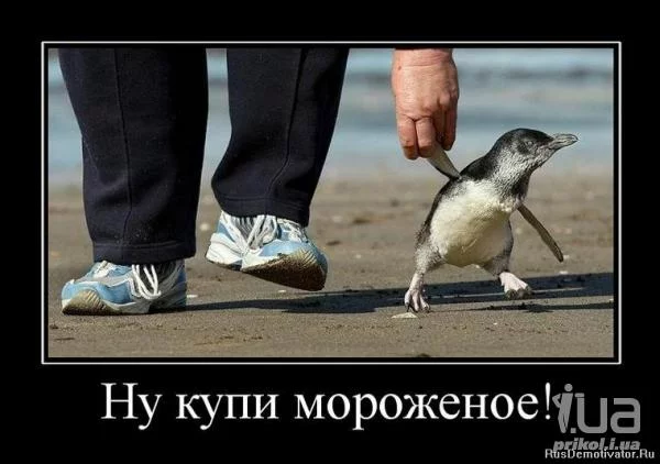 bddb9f.webp