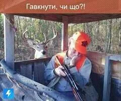 bddfe8.webp