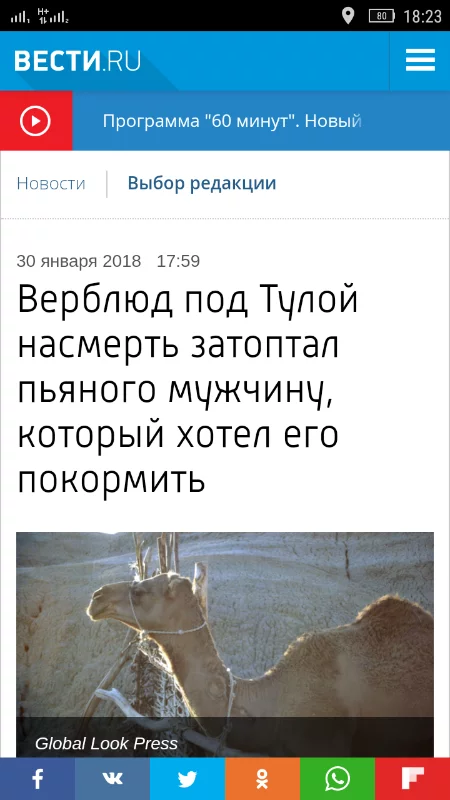 bddge5.webp