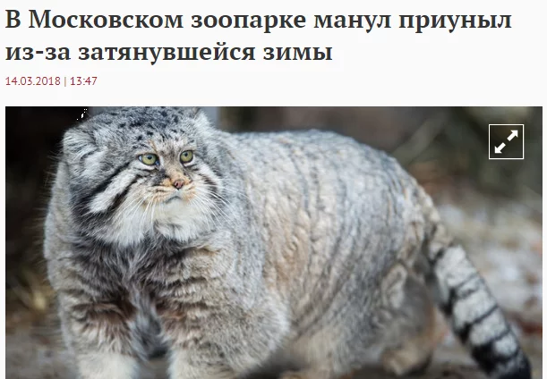 bde2jg.webp