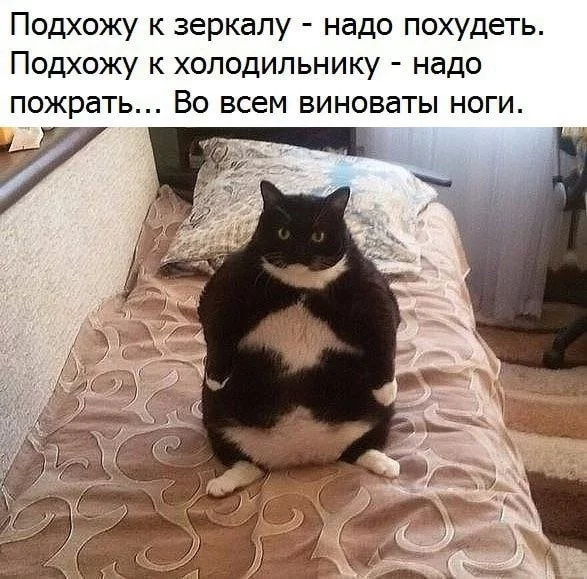bdf4ec.webp