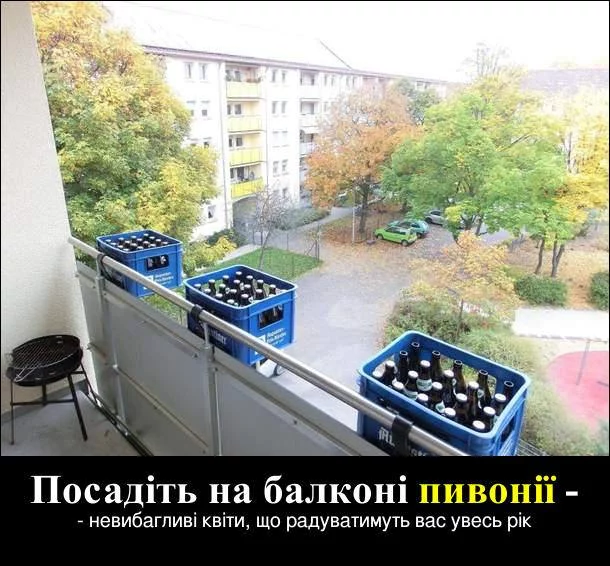 bdfah0.webp