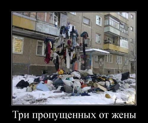 bdfeg8.webp