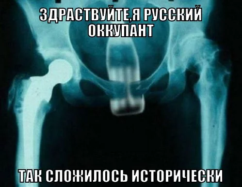 bdfge7.jpg