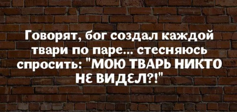 bdh2ja.webp